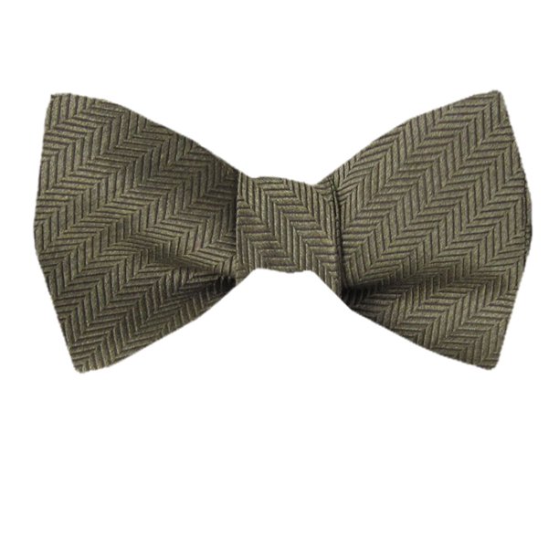 Men's Brown Taupe Ecru Silk Self Tie Bowtie Tie Yourself Bow Ties