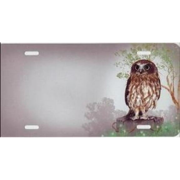 Owl Offset Airbrush License Plate Free Names on Air Brush