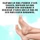 thumbnail image 5 of Repuestos Lima Circular Pies Callo Pedicure Reemplazable 100Pz, 5 of 6