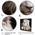 thumbnail image 3 of Designart "Ivory King of Elegance" Animals Framed Wall Art - Traditional White Lion Entryway Framed Wall Art Print, 3 of 6
