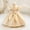 Beige, variant on Baby Girl Dresses Formal Dress for Girls Pink Dress for Girls Party Dresses for Girls Children's Day Outfit 6-12 Months