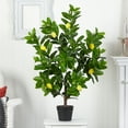 thumbnail image 4 of Nearly Natural 3' Lemon Artificial Tree, 4 of 4