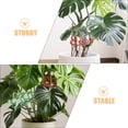 thumbnail image 3 of unbranded 3Jgo Marcos Para Plantas Monstera Accesorios Y Resistentes Para Sostén De Hojas Y, 3 of 8