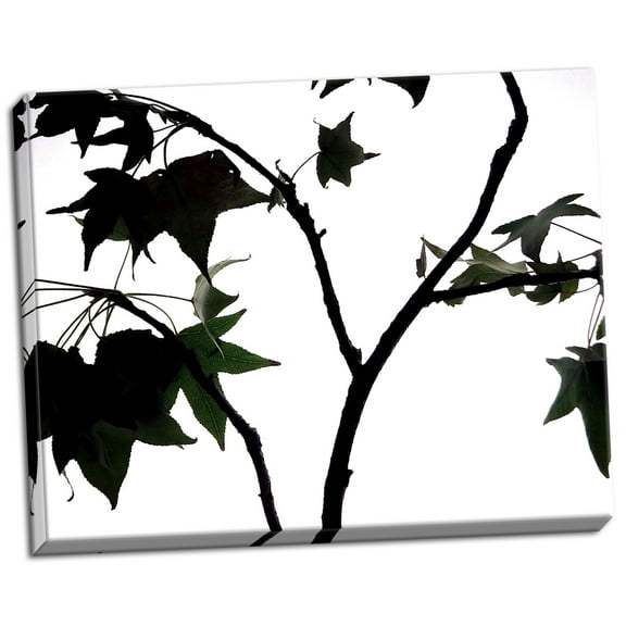 Gango Home Decor Maple Branch II by Monika Burkhart (Ready to Hang); One 28x22in Hand-Stretched Canvas