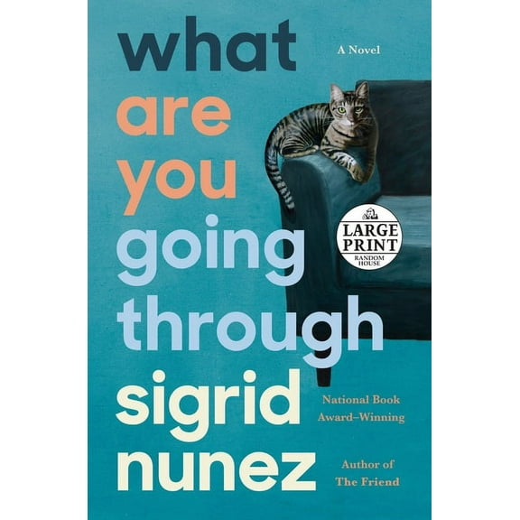 What Are You Going Through (Paperback)(Large Print)