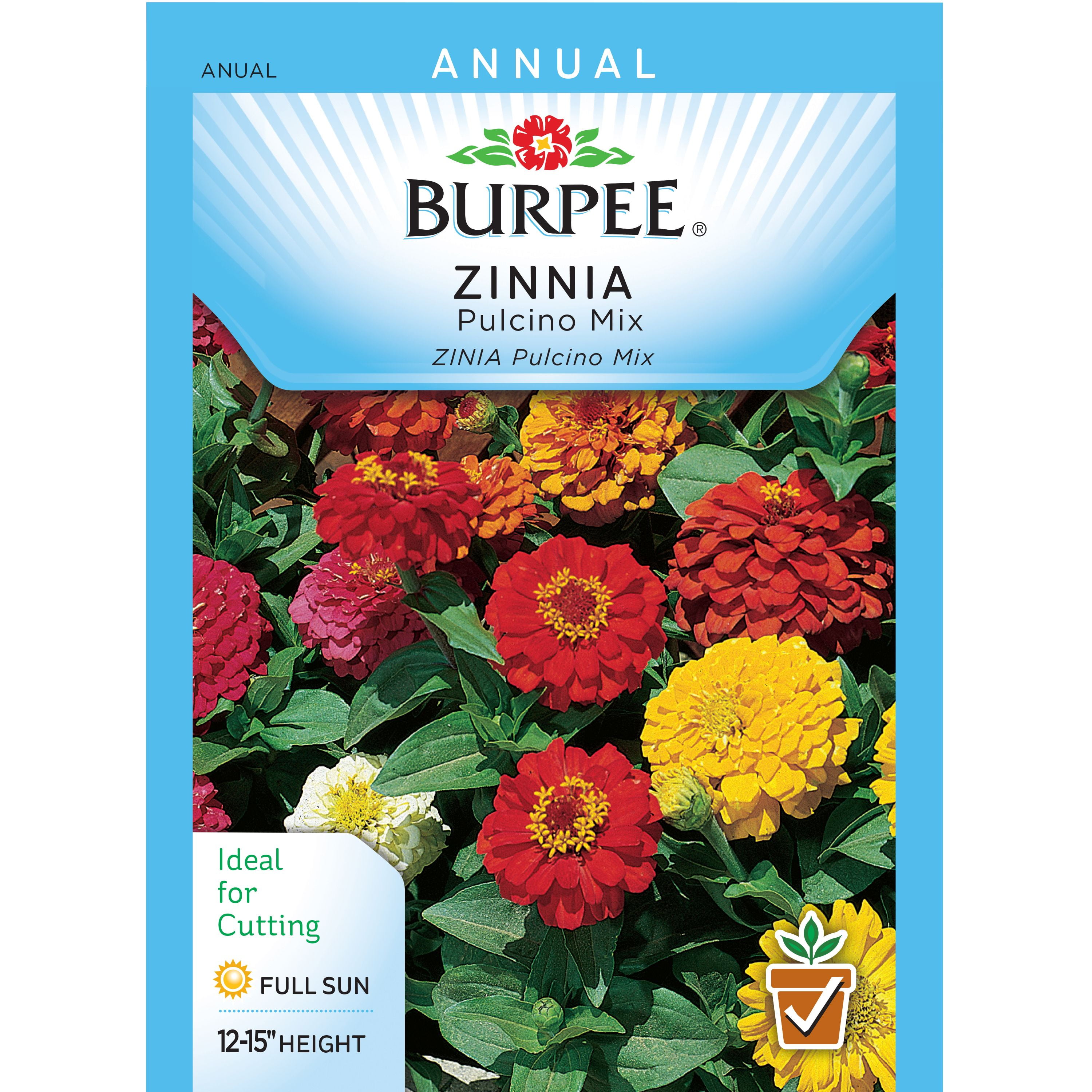 Burpee-Zinnia, Pulcino Mix Seed Packet - Walmart.com - Walmart.com