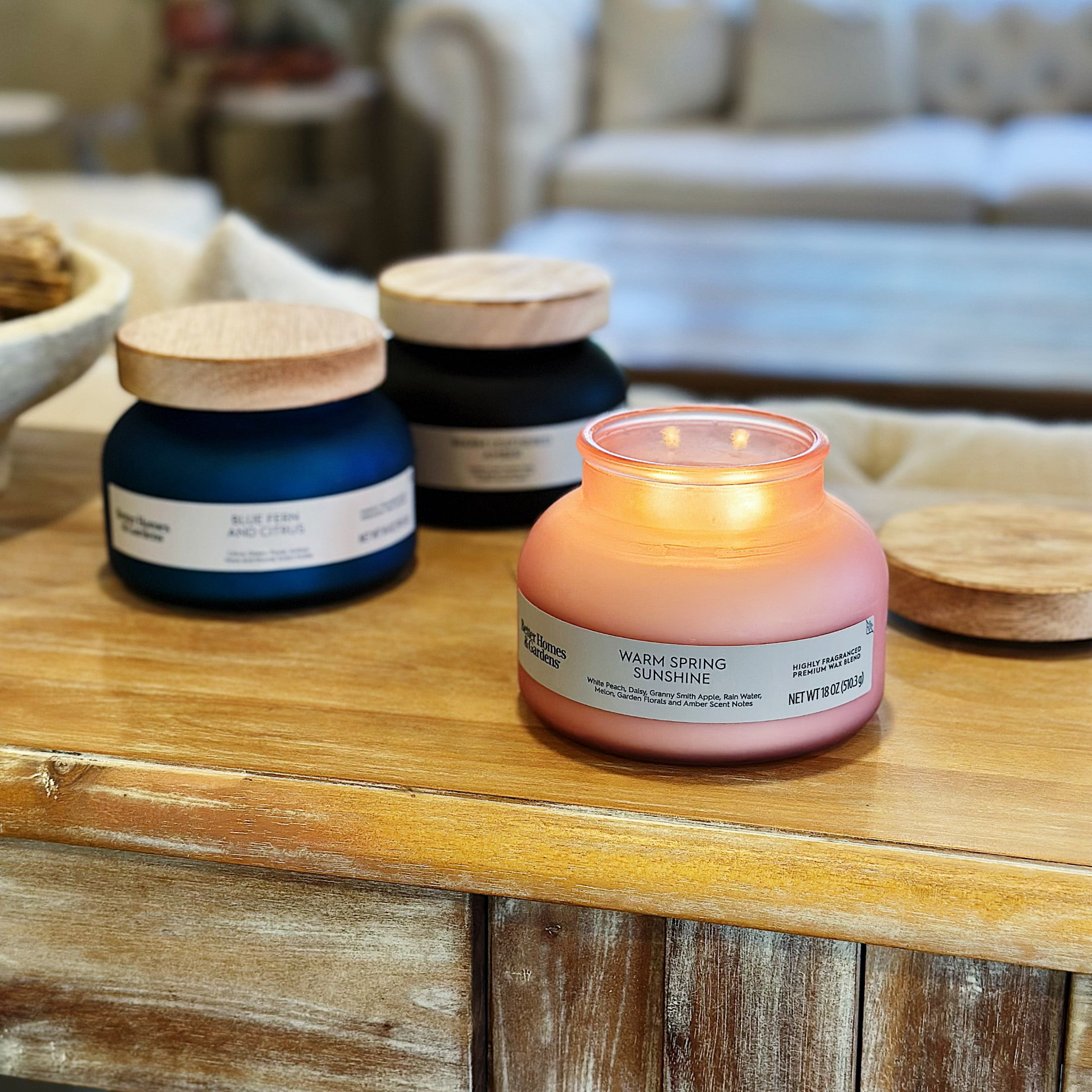 (4 pack) Better Homes and Gardens Blue Fern and Citrus Scented 2-Wick Frosted Jar Candle 18oz.