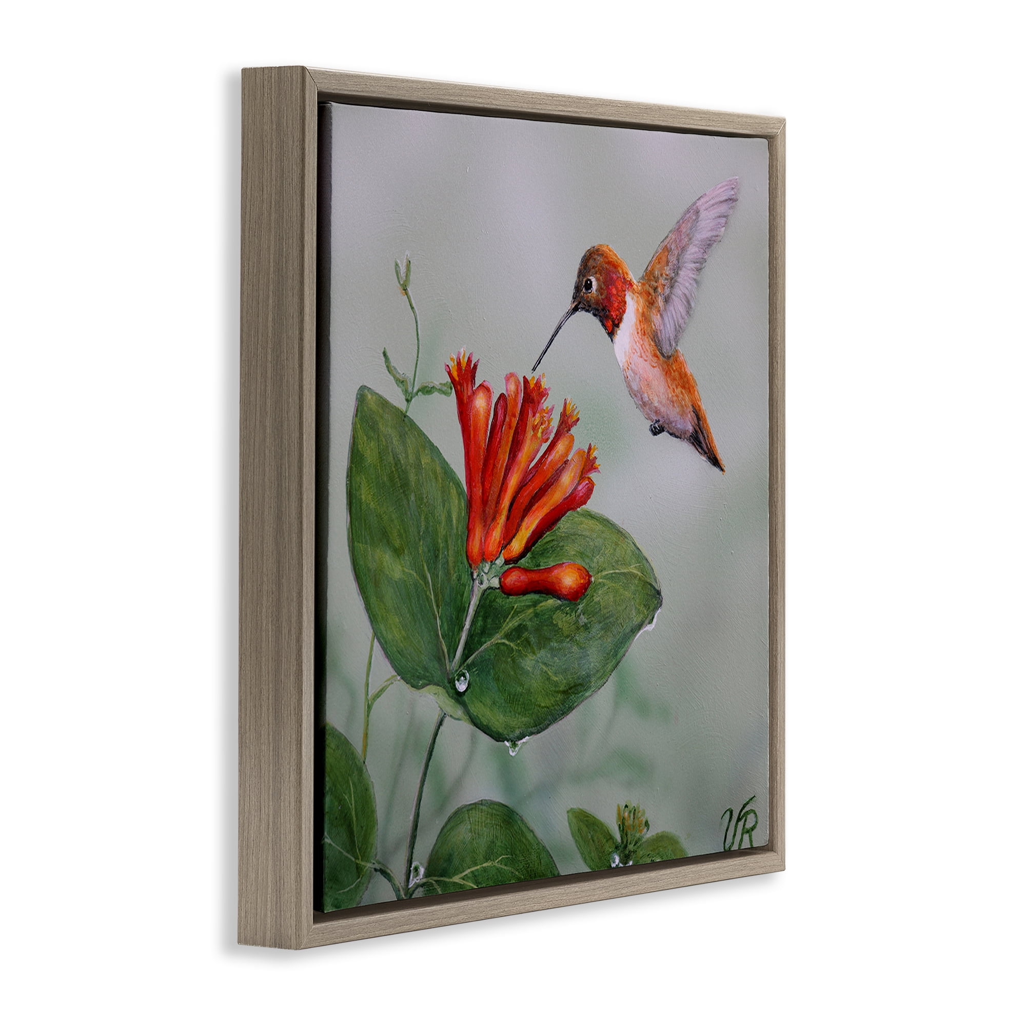 Stupell Industries Red Hummingbird & Flower Animals Painting Brown Floater Framed Canvas Art Print Wall Art, 18 x 18