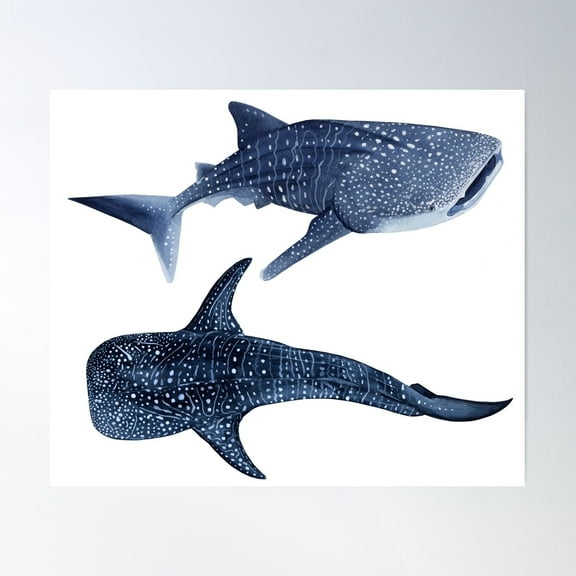 Whale Sharks Poster Wall Art, Modern Wall Decor For Living Room Bedroom, 8x12 UNFRAMED