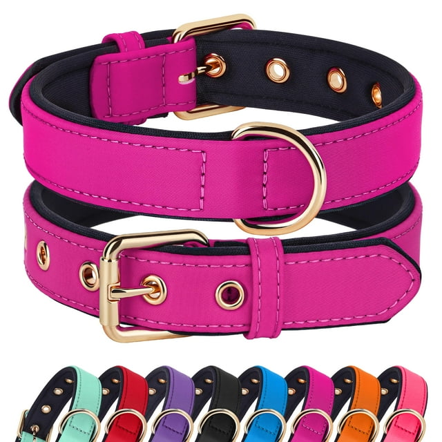 Collar de perro Didog de nailon suave, acolchado e impermeable para perros medianos
