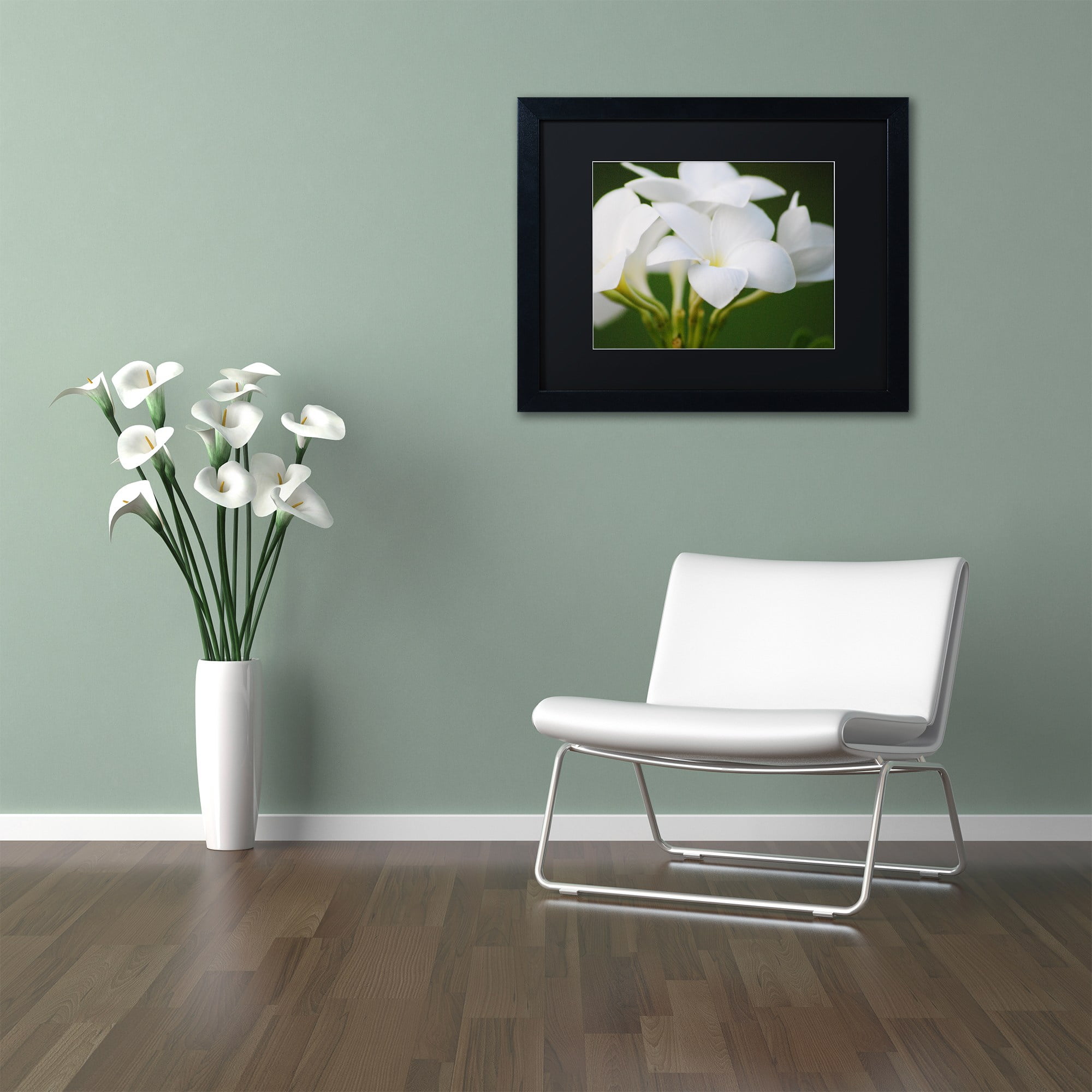 Trademark Fine Art "Picture Perfect" Canvas Art by Monica Mize, Black Matte, Black Frame