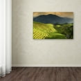 thumbnail image 2 of Trademark Fine Art "Sunset Rice I" Canvas Art by Philippe Hugonnard, 2 of 2