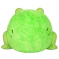 thumbnail image 3 of Frog Squishable, 3 of 4