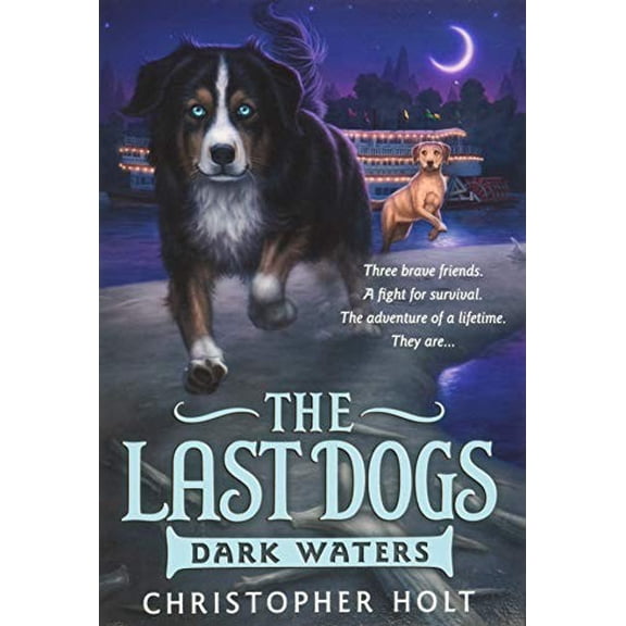 Pre-Owned Dark Waters (Paperback) 0316200093 9780316200097