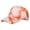 C, variant on Visor Hats for Women Breathable Hop Adjustable Fashion Caps for Women,C,One Size