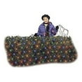 thumbnail image 2 of 47894-88 Christmas LED Net Light, Micro, Multi, 4 x 6-Ft., 2 of 2