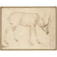thumbnail image 3 of Stefano da Verona 24x20 Black Modern Framed Museum Art Print Titled - Studies of a Stag, 3 of 5