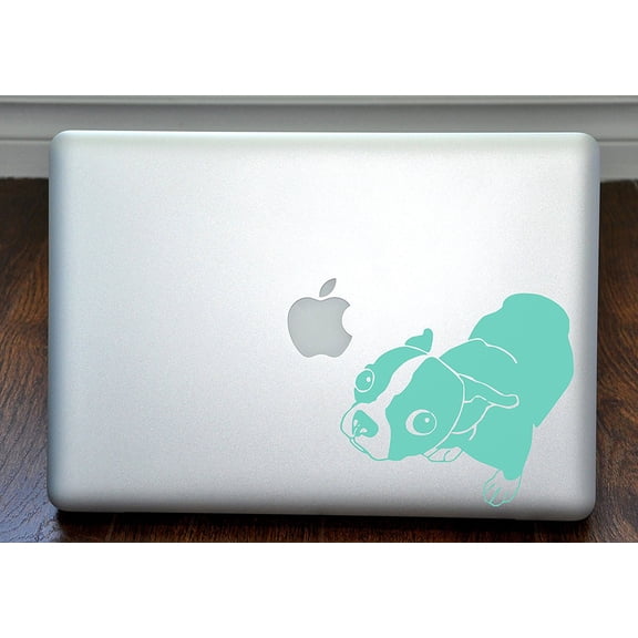 Molly the Boston Terrier Mint Decal for 13" Macbook