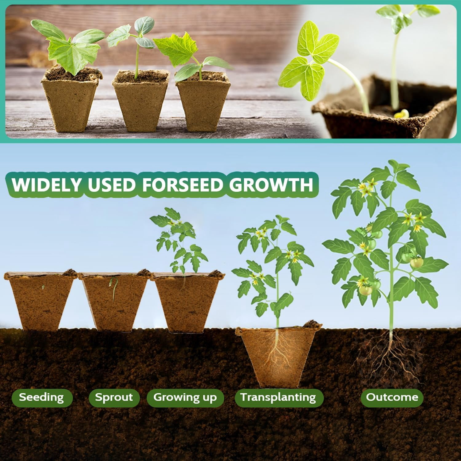Seed Starter Tray, Pack Biodegradable Peat Pots with Labels, Plant Starter Kit for Seedlings