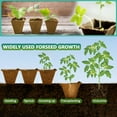 thumbnail image 6 of 240 Cells Seed Starter Tray, 20 Packs Peat Pots Seedling Pots Biodegradable,Seedling Starter Kit, MQINGHOS Organic Germination Plant Starter Trays,Cell Pots with 20 Labels,2 Transplant Tools, 6 of 7