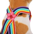 thumbnail image 4 of Pantalones Sanitarios Fisiológicos, Calzoncillos De Algodón Transpirable Patrón Lindo Diseño Cuidado Pantalones Para Mascotas Para Corgi Joven Francés Para Niña Perro Teddy ANGGREK Otros, 4 of 8