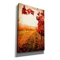 thumbnail image 2 of Epic Graffiti 'Autumn Vines' by Jessica Rogers, Canvas Wall Art, 40"x60", 2 of 8