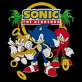 thumbnail image 2 of Mens Sonic the Hedgehog Classic Trio Pose Lightweight Hoodie, 2 of 4