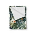 thumbnail image 2 of Hawaii Soft Flannel Fleece Throw Blanket, Colorful Palm Trees Tropical Plants Botanical Inspirations, Cozy Plush for Indoor and Outdoor Use, 50" x 60", Jade Green Fern Green, by Ambesonne, 2 of 5