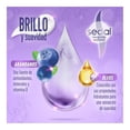 thumbnail image 4 of Shampoo Sedal brillo y suavidad arándano y óleos 620 ml, 4 of 4