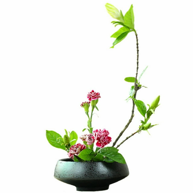 Coofit Pot de Fleurs Créatif DIY Rétro en Céramique avec Grenouille