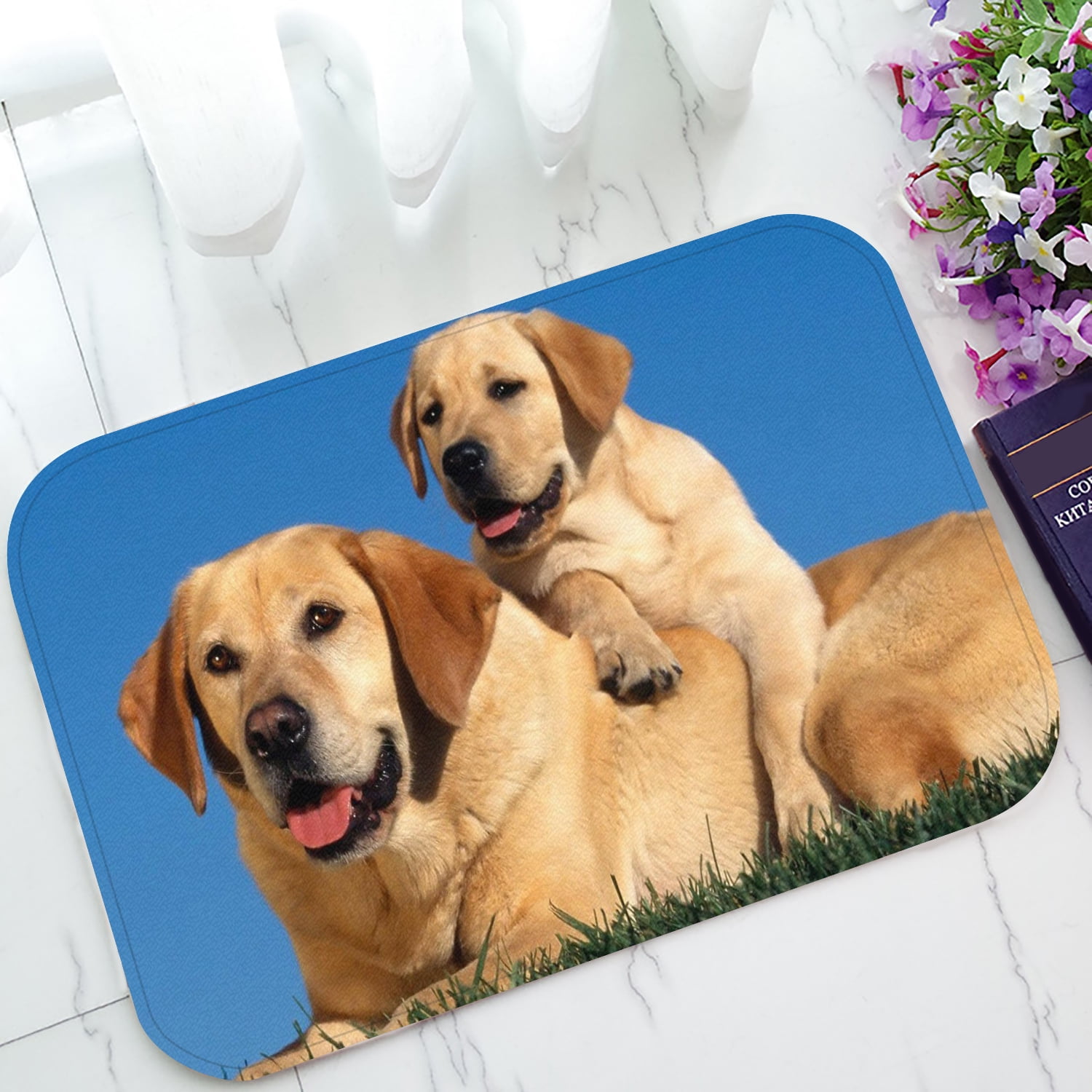 ZKGK Labrador Retriever NonSlip Doormat Indoor/Outdoor/Bathroom