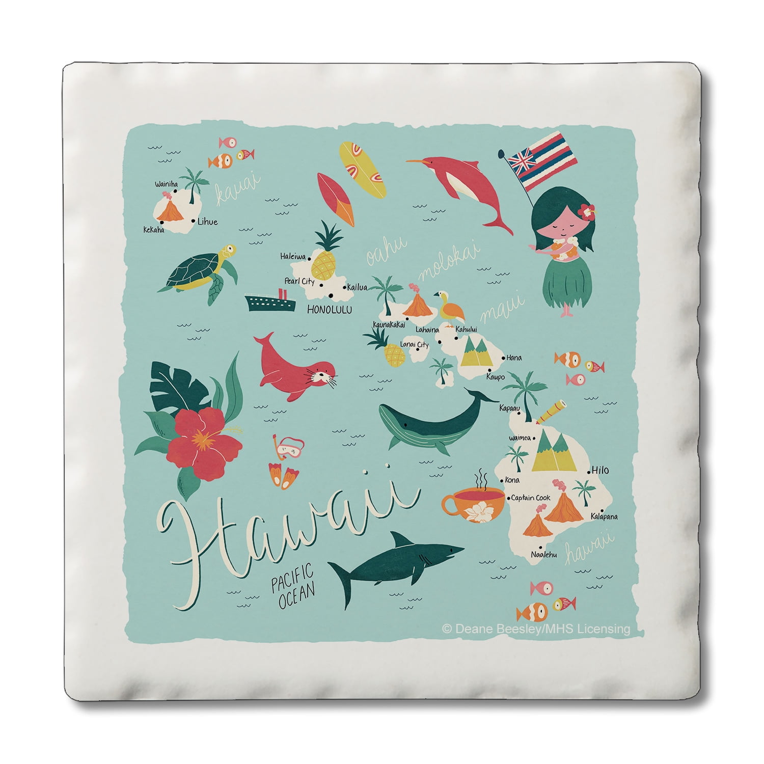 Hawaii Home Multicolor Absorbent Stone Tile Coasters with Cork Backing