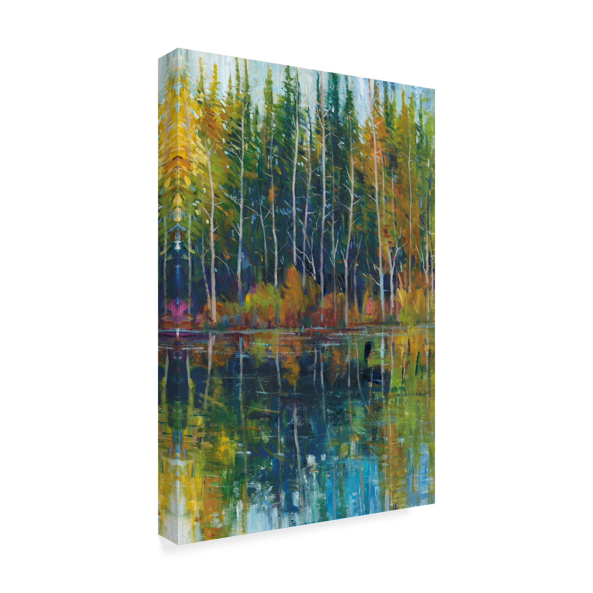 Trademark Fine Art 'Pine Reflection I' Canvas Art by Tim OToole