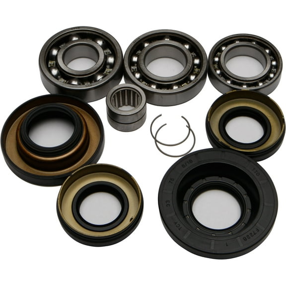 NEW ALL BALLS Differential Bearing and Seal Kit 25-2047