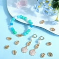thumbnail image 4 of 1Box 12Pcs Brass Beads Cowrie Shell Shape Nickel Free Real 18K Gold Plated 14x10x4mm Hole: 0.8mm, 4 of 6