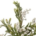 thumbnail image 2 of Northlight 2' Potted White Berry and Frosted Pine Christmas Tree, Unlit, 2 of 4