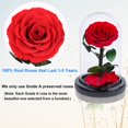thumbnail image 5 of Rosas preservadas hechas a mano en cúpula de cristal, regalos del día de San Valentín para ella, rosas rojas reales que duran más de un año, rosas de cristal eternas, 5 of 5