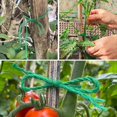 thumbnail image 2 of Adornos Navideños, Cordel de Jardín, Cordel Verde para Jardinería, Tomates, Plantas Trepadoras, , Floristería, Manualidades, Regalo, 2 of 6