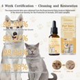 thumbnail image 4 of Pet Skin Repair Essence, Natural Pet Skin Care For & Teenager Pets, Nourishing & Soothing Pet Skin Formula, 4 of 6