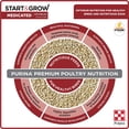 thumbnail image 3 of Purina Start & Grow Starter/Grower Medicated Feed Crumbles, 5 lb bag, 3 of 4