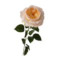 thumbnail image 3 of Ramo de rosas artificiales para centro de mesa, rosa realista hidratante Amarillo claro, 3 of 9