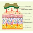 thumbnail image 4 of Parche para rodilla Kisinly de artemisa herbal con efecto calor, 48 piezas, 4 of 5
