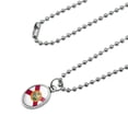 thumbnail image 2 of Florida State Flag Antiqued Oval Charm Pendant with Chain, 2 of 3