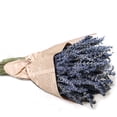 thumbnail image 3 of Hengbo Dried Lavender Bundles 2 Bundles Pack 100% Natural Dried Lavender Flowers for Home Decoration Photo Props Wedding Party, 3 of 6
