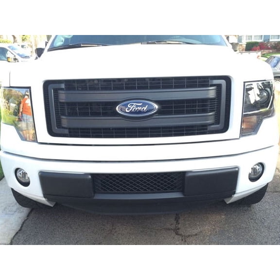 Lower Bumper Grille - Black Durable OEM-Style ABS Grille - Accesspeed Ecoboost Grilles #7002-1402 Lower Bumper Grille Insert Compatible with 2009 2010 2011 2012 2013 2014 Ford F150