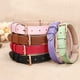 thumbnail image 4 of Collar de cuero para perro pequeño, ajustable, suave, transpirable, acolchado, para cachorro, 4 of 5