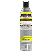 Raid Defend Outdoor Defense System Wasp and Hornet Bug Spray Outdoor Insect Killer, 17.5 oz.