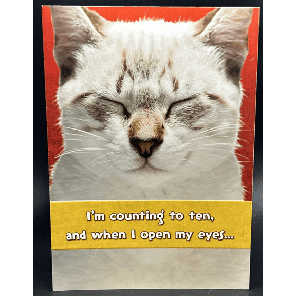 Happy Birthday (Paws and Claws - Cat) Greeting Card w/Envelope