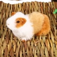 thumbnail image 2 of Herwey Small Pet Animal Hamster Hand-woven Grass Mat Rabbit Guinea-pig Pad, Hamster Mat, Rabbit Grass Mat, 2 of 7