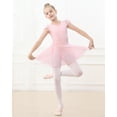 thumbnail image 4 of Stelle Cap Sleeve Ballet Leotard with Chiffon Sequins Skirt Ballerina Dance Dress for Toddler Girls,Ballet Pink,5T, 4 of 8